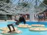 Sun Splash Family Waterpark * Cape Coral - Traum Urlaub Florida