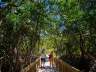 Matanzas Pass Preserve and Historic Cottages * Fort Myers Beach - Traum Urlaub Florida