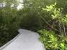 Matanzas Pass Preserve and Historic Cottages * Fort Myers Beach - Traum Urlaub Florida