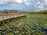 Everglades National Park * Everglades City - Traum Urlaub Florida