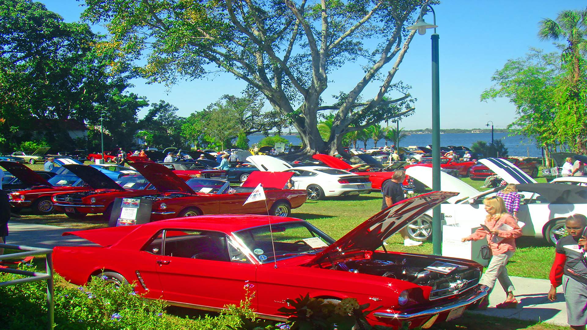 Annual Edison Fort Antique Car Show Fort Myers Traum Urlaub Florida