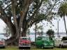 Annual Edison Fort Antique Car Show * Fort Myers - Traum Urlaub Florida