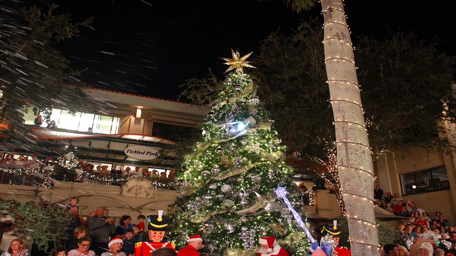 Event Christmas Tree Lighting Ceremony Naples Traum Urlaub Florida