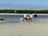 Bonita Beach Dog Park * Bonita Springs  - Traum Urlaub Florida