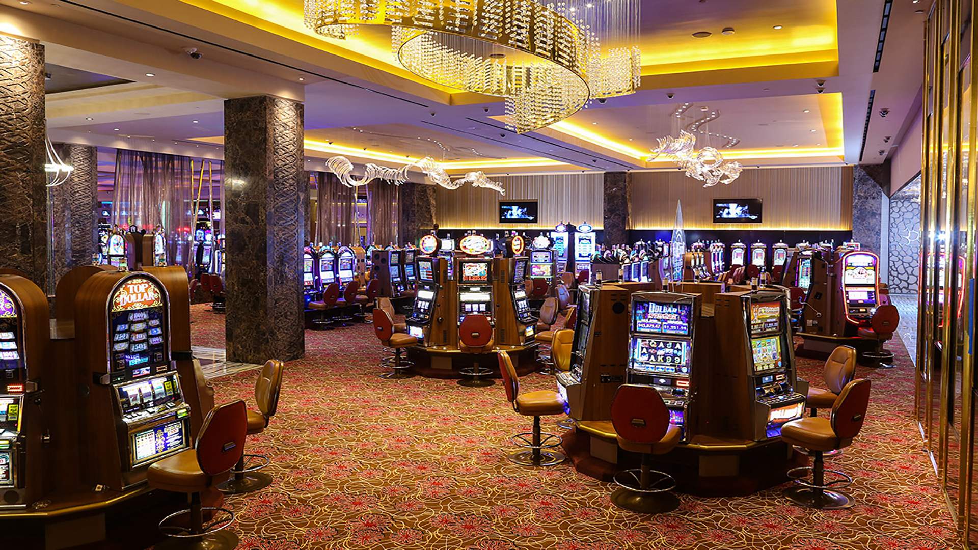 seminole hard rock hotel casino in tampa