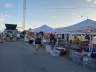 Everglades City Seafood Festival * Everglades City - Traum Urlaub Florida