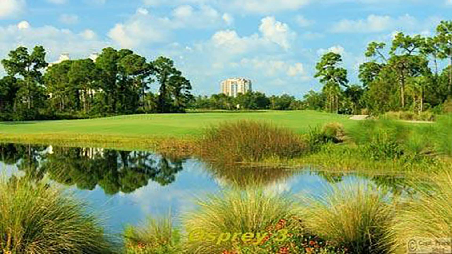 Golfplatz Raptor Bay Golf Club Bonita Springs Traum Urlaub Florida