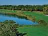 Miromar Lakes Golf Club * Fort Myers - Traum Urlaub Florida