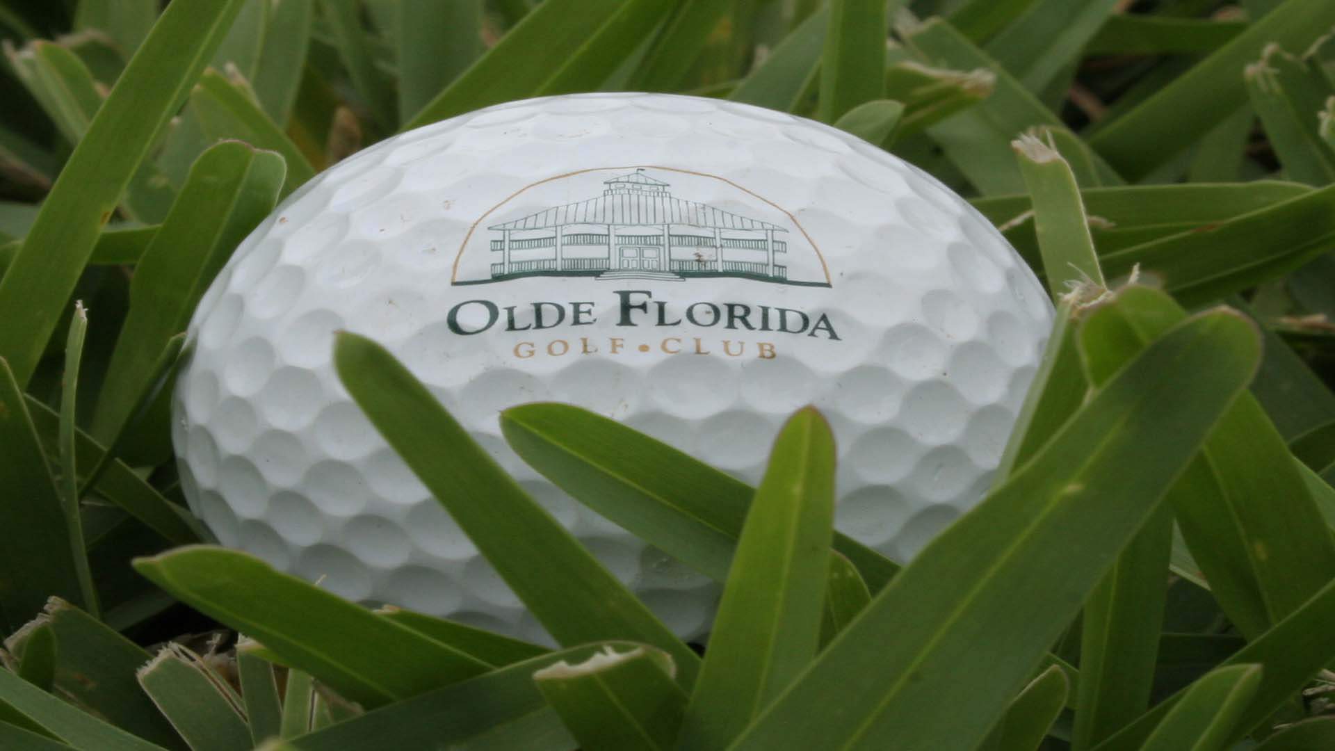 Golfplatz Olde Florida Golf Club in Naples Traum Urlaub Florida