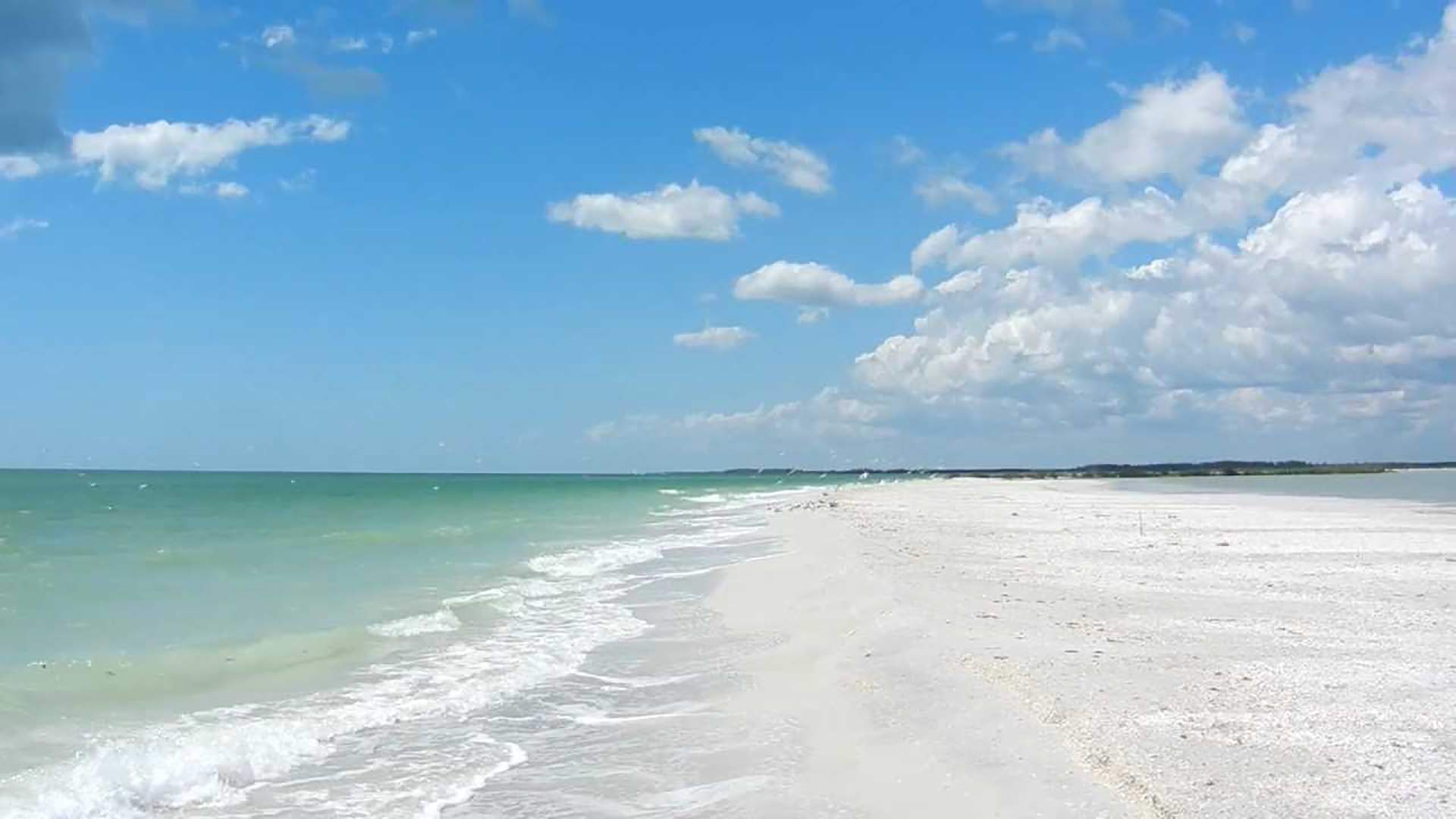 Strand Tigertail Beach Marco Island | Traum Urlaub Florida